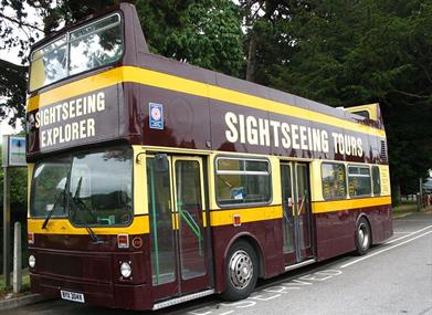 Sightseeing Tours
