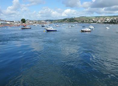 Dartmouth Steam Railway and River Boat Company