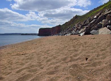 hollicombe beach