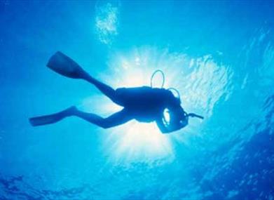 scuba diving in torquay
