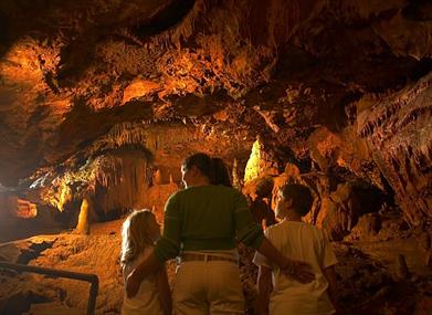 Excursion 2 - Travel Back 400 Million Years
