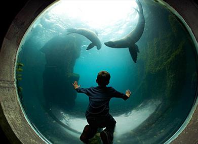 Living Coasts