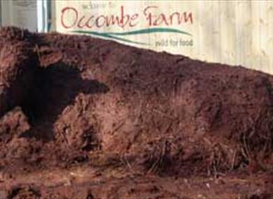Mud Cow at Occombe Farm entrance