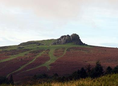 Haytor