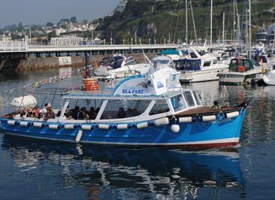 Greenway Ferry and Pleasure Cruises - Brixham
