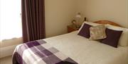 Superior Double - Villa Marina - Torquay