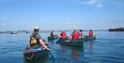 Canoe the Coves