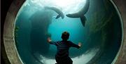 Living Coasts