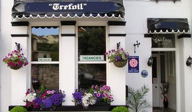 Trefoil Guest House