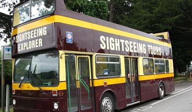 Sightseeing Tours