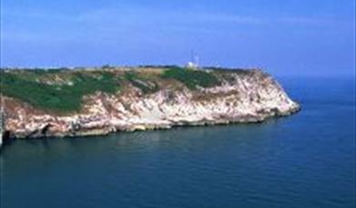 Thumbnail for Bat Walk at Berry Head NNR