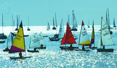 Thumbnail for Ocean BMW Torbay Week
