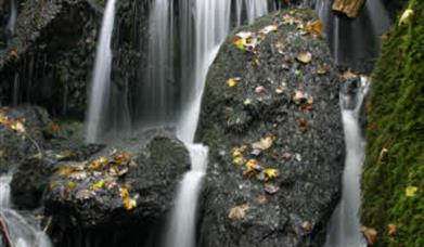 Thumbnail for Canonteign Falls