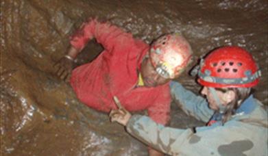 Go Wild Caving!