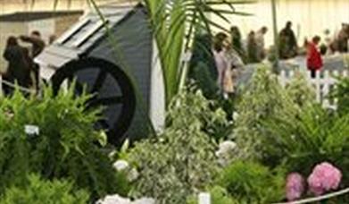 Devon County Show
