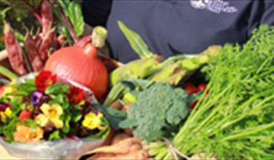 Occombe Garden - Share the Harvest!