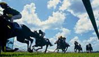 Race Fixtures 2013 - Newton Abbot Racecourse
