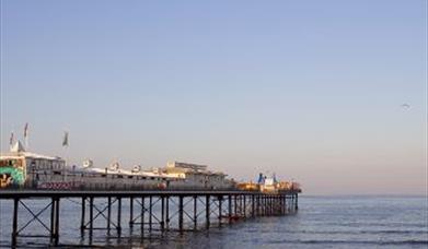 Thumbnail for Free Children's Swim at Torbay Leisure Centre