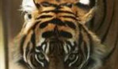 Thumbnail for Wild Week at the Zoo