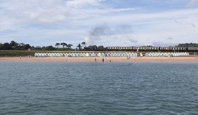 Thumbnail for Paignton and Dartmouth Steam Railway