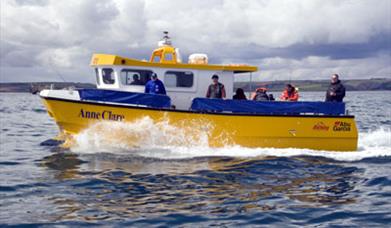 Anne Clare Fishing