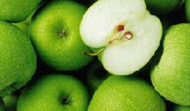 Thumbnail for Marldon Apple Pie Fair