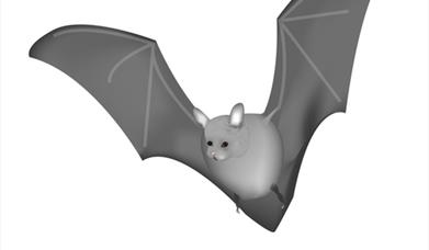 Thumbnail for Bat Walk