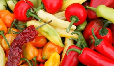 South Devon Chilli Farm