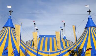 Thumbnail for Berlin Circus