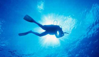 scuba diving in torquay