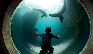 Living Coasts