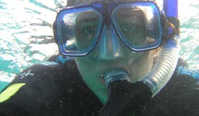 Snorkelling Group Excursions