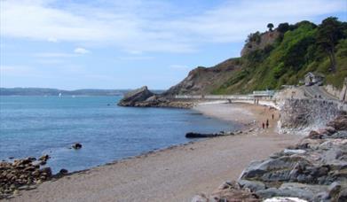 Meadfoot Beach