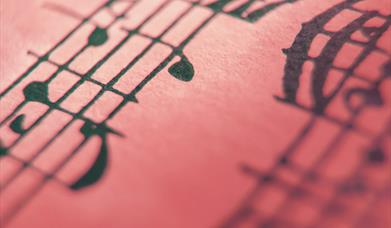 Thumbnail for Steve Davis - Spanish guiter