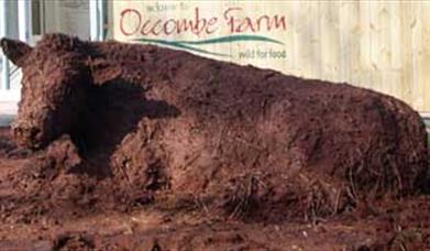 Thumbnail for Occombe Farm