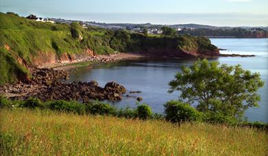 Saltern cove