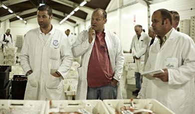 Brixham Fish Market