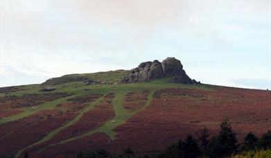Haytor