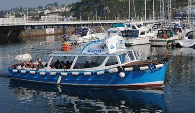 Greenway Ferry and Pleasure Cruises - Brixham