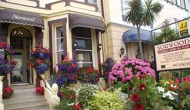 English Riviera Special Offers with Dogs!