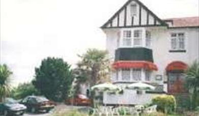 English Riviera Special Offers with Dogs!