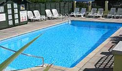 English Riviera Special Offers with Dogs!