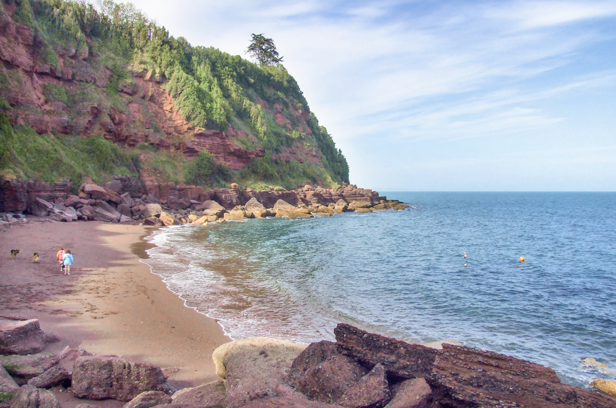 Top 10 Dog Walks | Be Inspired | English Riviera | Torquay, Paignton ...
