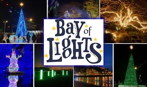 Bay of Lights bringing winter sparkle to the English Riviera