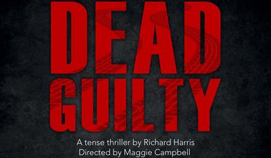 Dead Guilty, Palace Theatre, Paignton, Devon
