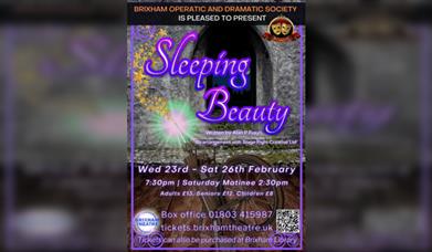 Sleeping Beauty - Presented by BOADS