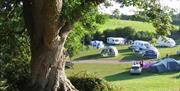 touring and camping pitches devon torquay paignton