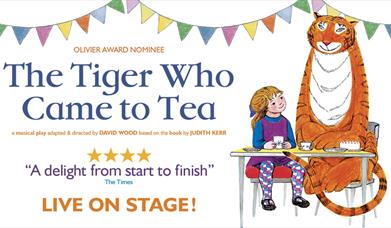 The Tiger Who Came To Tea, Princess Theatre, Torquay, Devon
