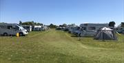 Plenty of space between each other at Wall Park Touring Caravan and Centry Camping site, Brixham, Devon