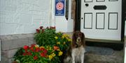 Dog friendly, Ashleigh House, 61 Meadfoot Lane, Torquay, Devon